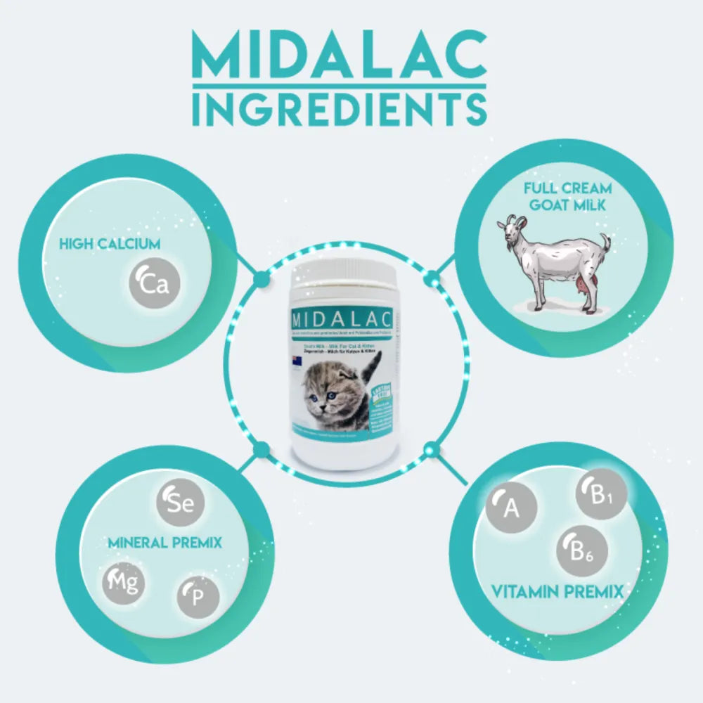 Midalac Pet Milk  Powder