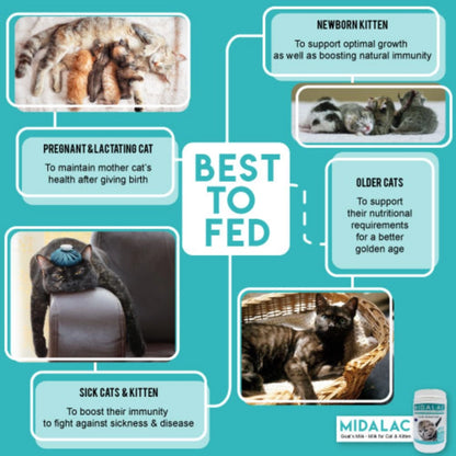 Midalac Pet Milk  Powder